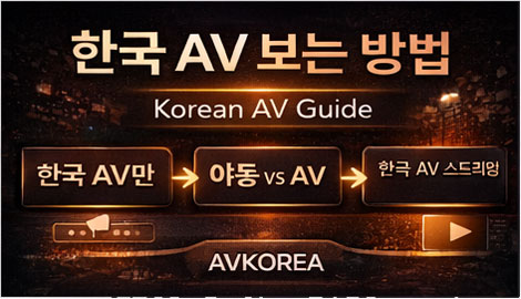 한국 AV 보는 방법을 한눈에 정리한 Korean AV guide 대표 이미지