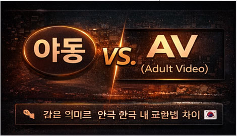 야동과 AV(Adult Video)가 같은 의미로 사용되는 검색 흐름을 설명하는 이미지